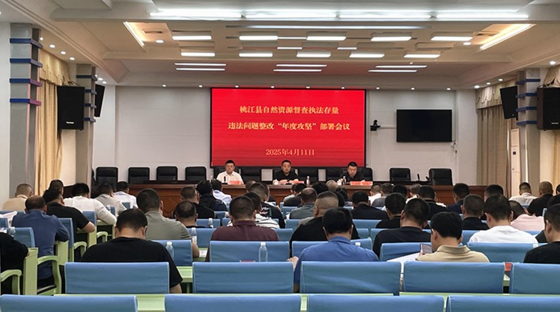桃江打响自然资源违法问题整改“年度攻坚”战