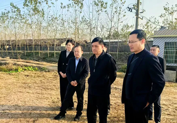 省自然资源厅来益调研耕地置换改革暨耕地占补平衡专项整治工作